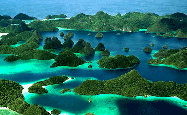 1 Person Ultimate Raja Ampat 12 Days Departure Febuary 2026